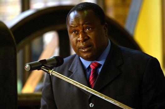 Finance Minister Tito Mboweni. FILE PHOTO: Shayne Robinson/SAPA